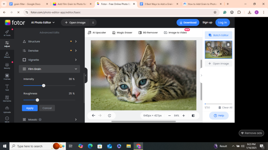 Add Grain to a Photo with Fotor 03