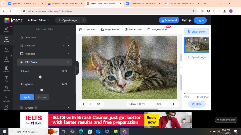 Add Grain to a Photo with Fotor 04