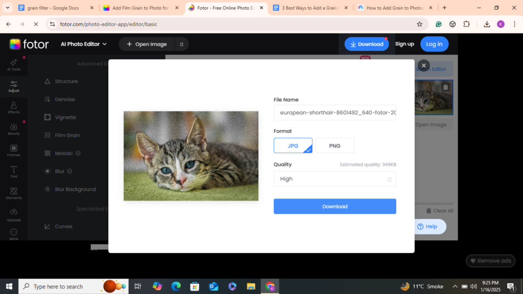 Add Grain to a Photo with Fotor 05